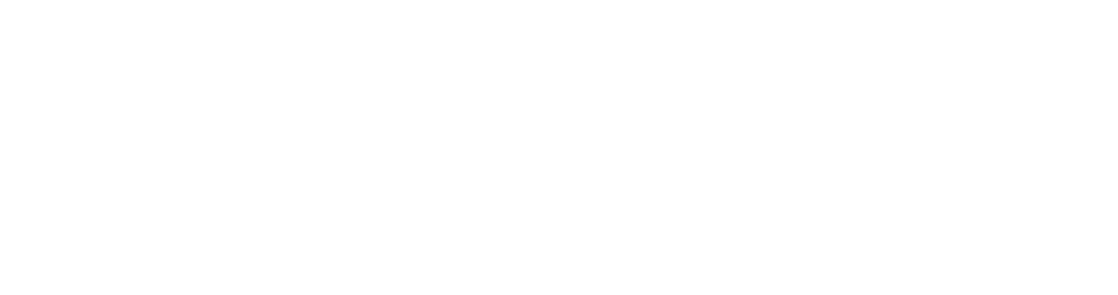Soensy Logo